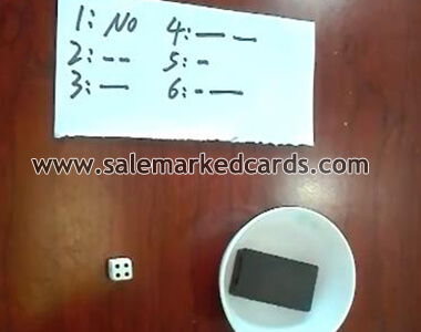 GS electronic dice